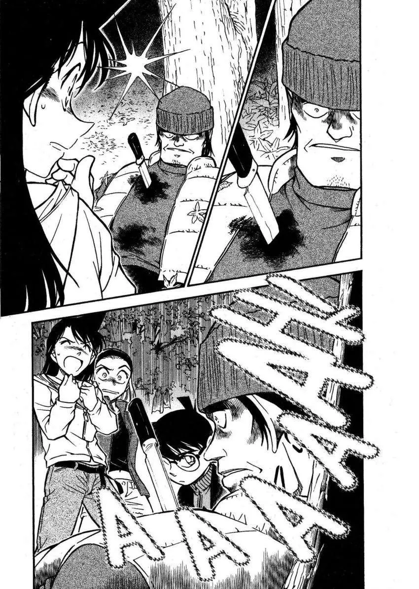 Detective Conan capítulo 541, página 16