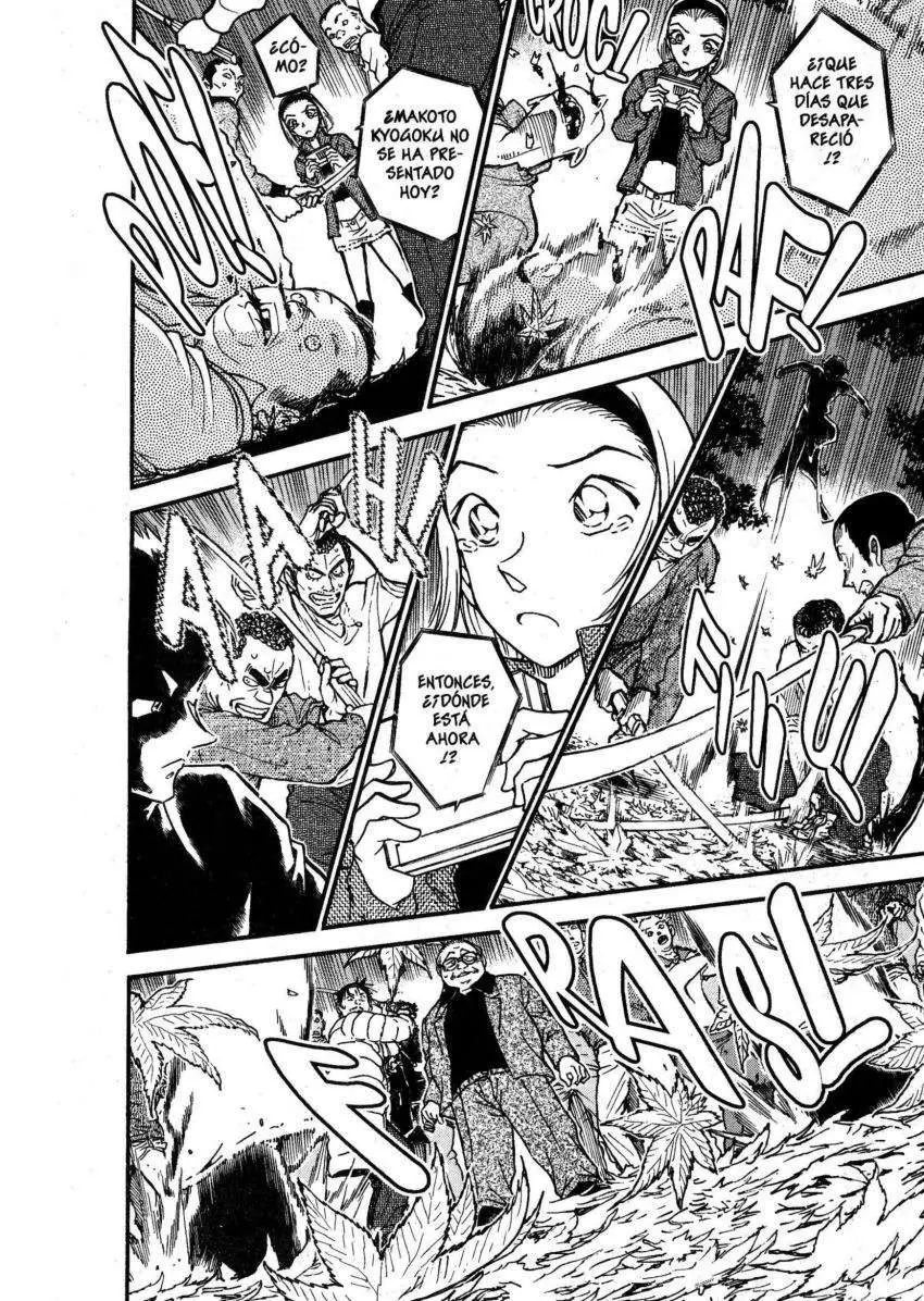 Detective Conan capítulo 543, página 13