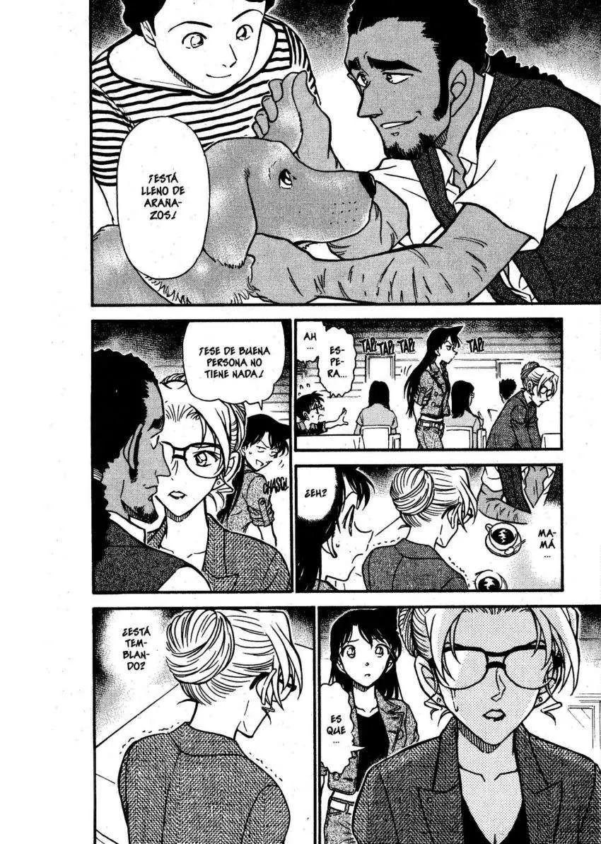 Detective Conan capítulo 574, página 13