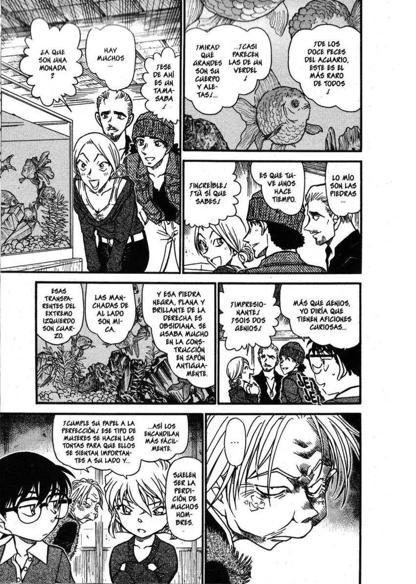 Detective Conan capítulo 579, página 12