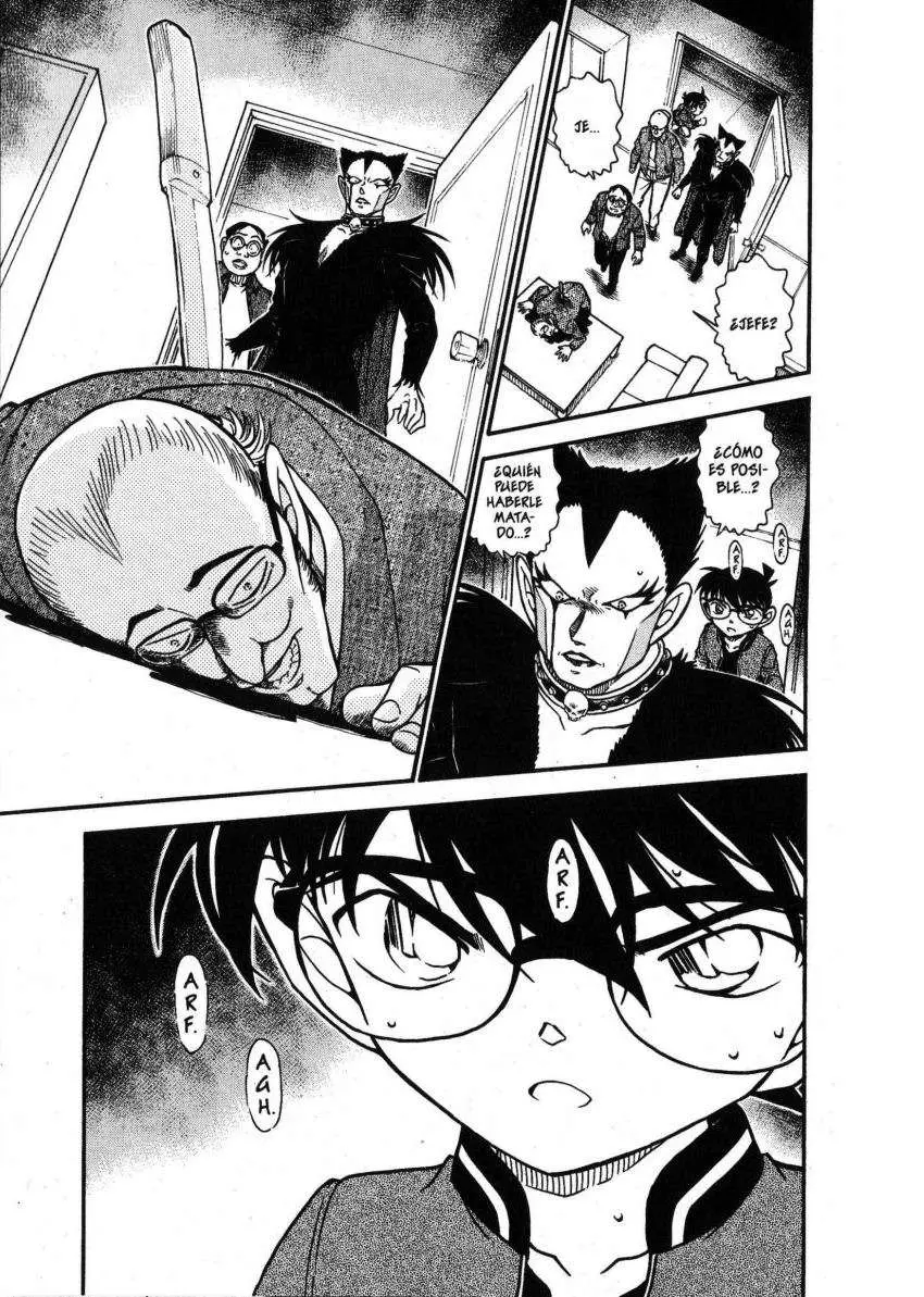 Detective Conan capítulo 591, página 16