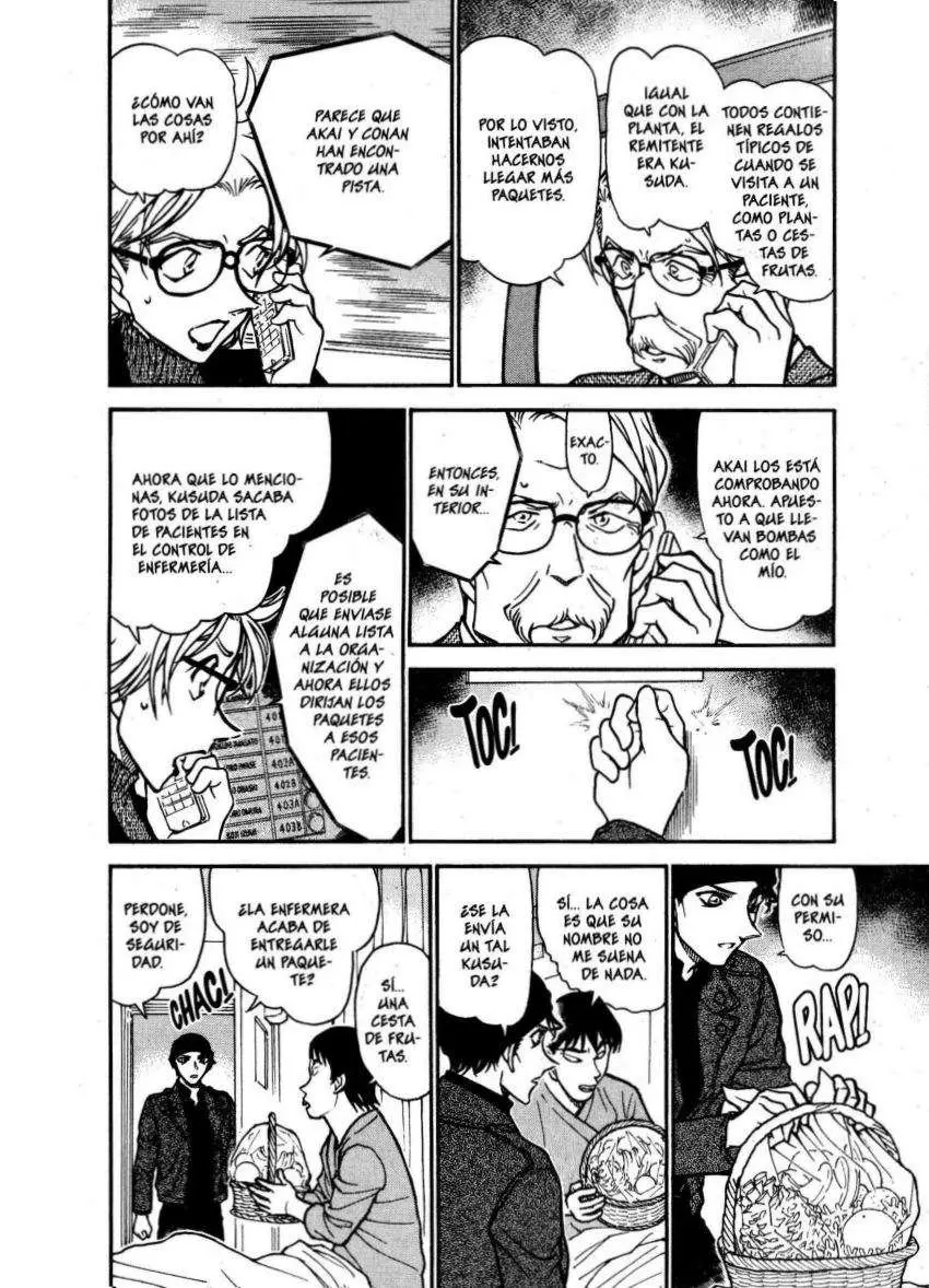 Detective Conan capítulo 601, página 13