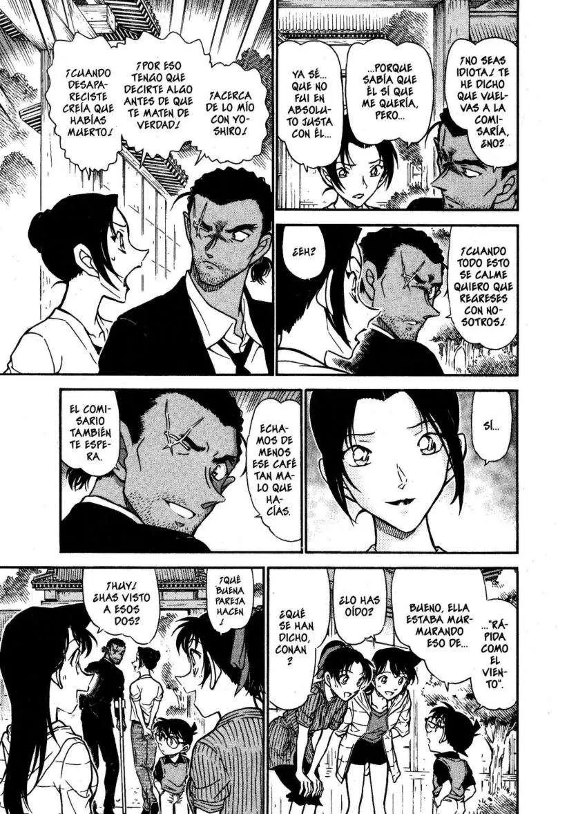 Detective Conan capítulo 618, página 16
