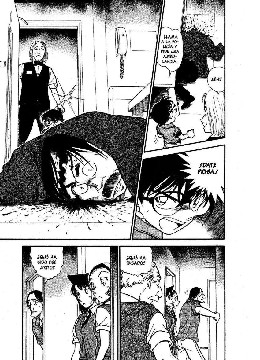 Detective Conan capítulo 619, página 14