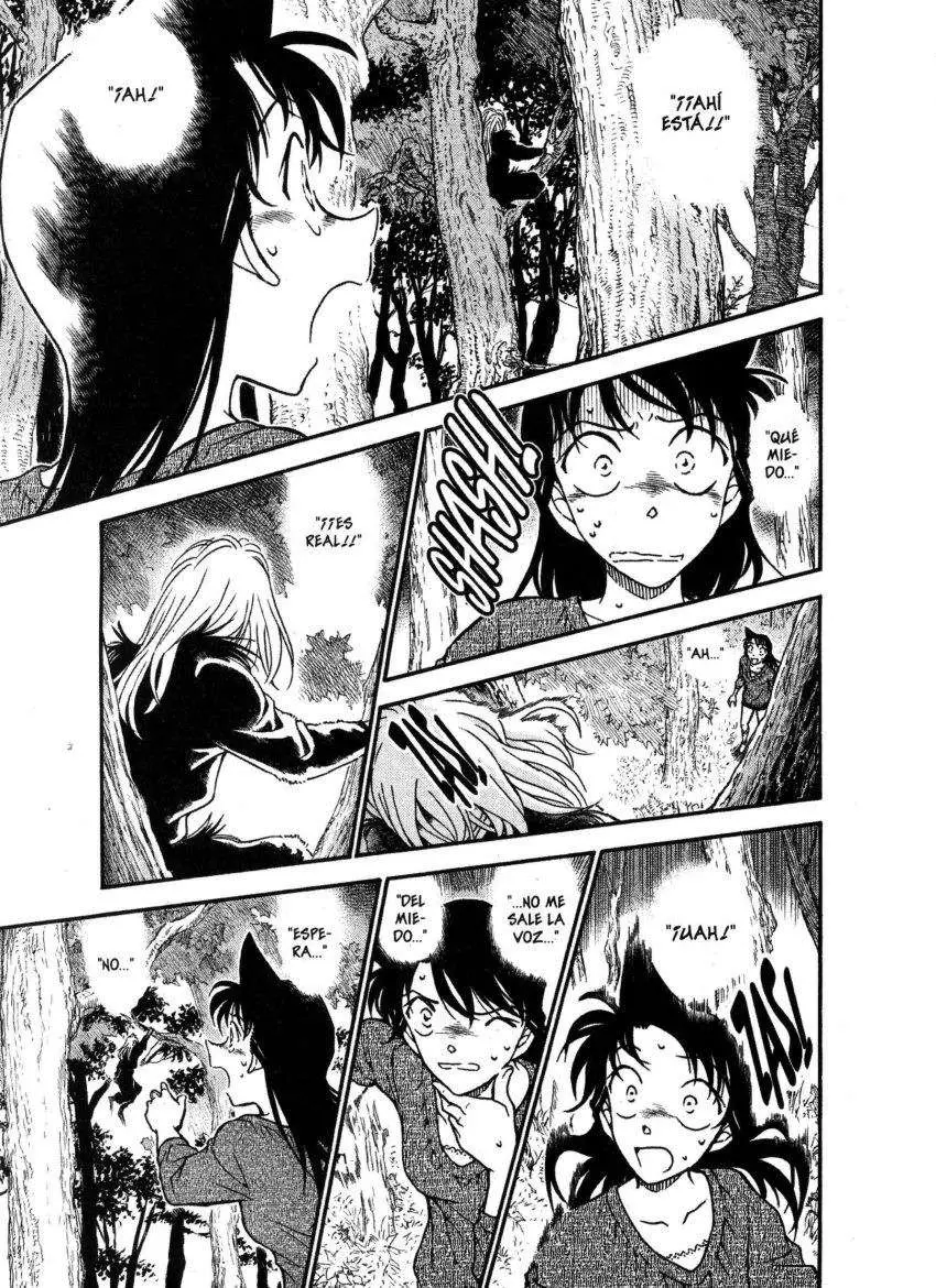 Detective Conan capítulo 649, página 14