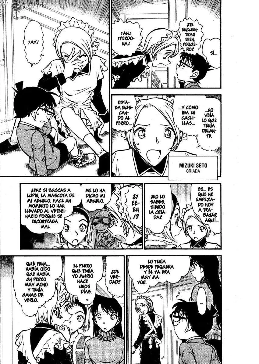 Detective Conan capítulo 674, página 14