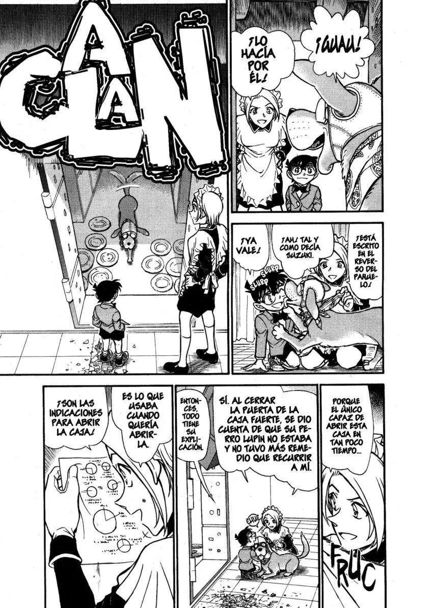 Detective Conan capítulo 676, página 14
