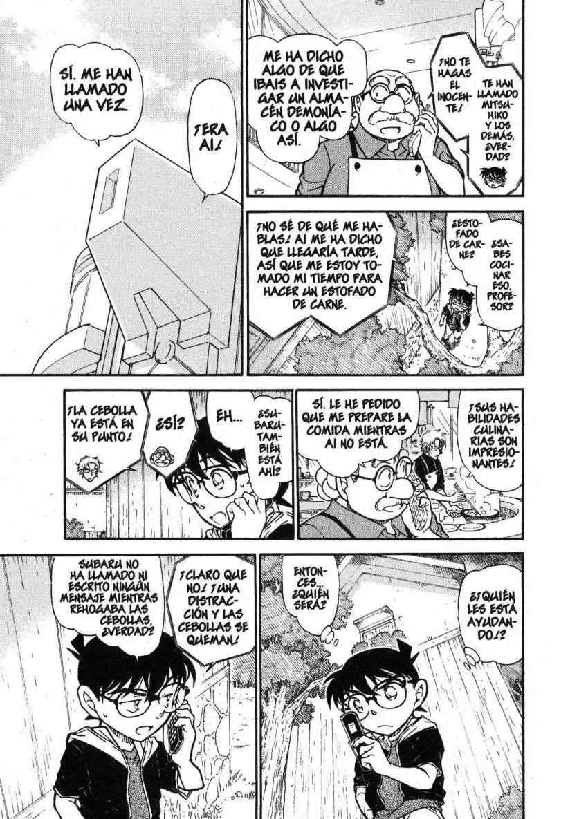 Detective Conan capítulo 691, página 12