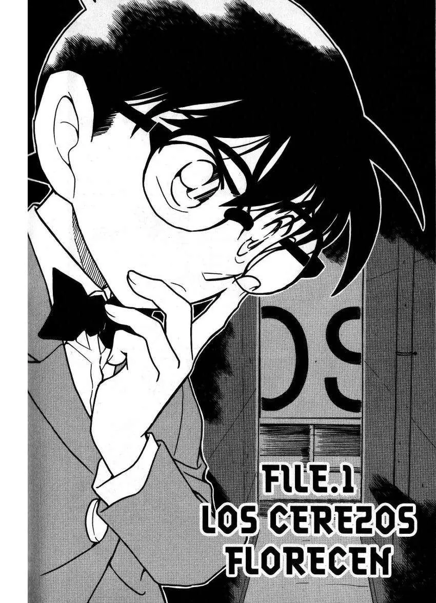 Detective Conan capítulo 708, página 1