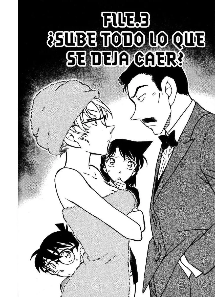 Detective Conan capítulo 710, página 1