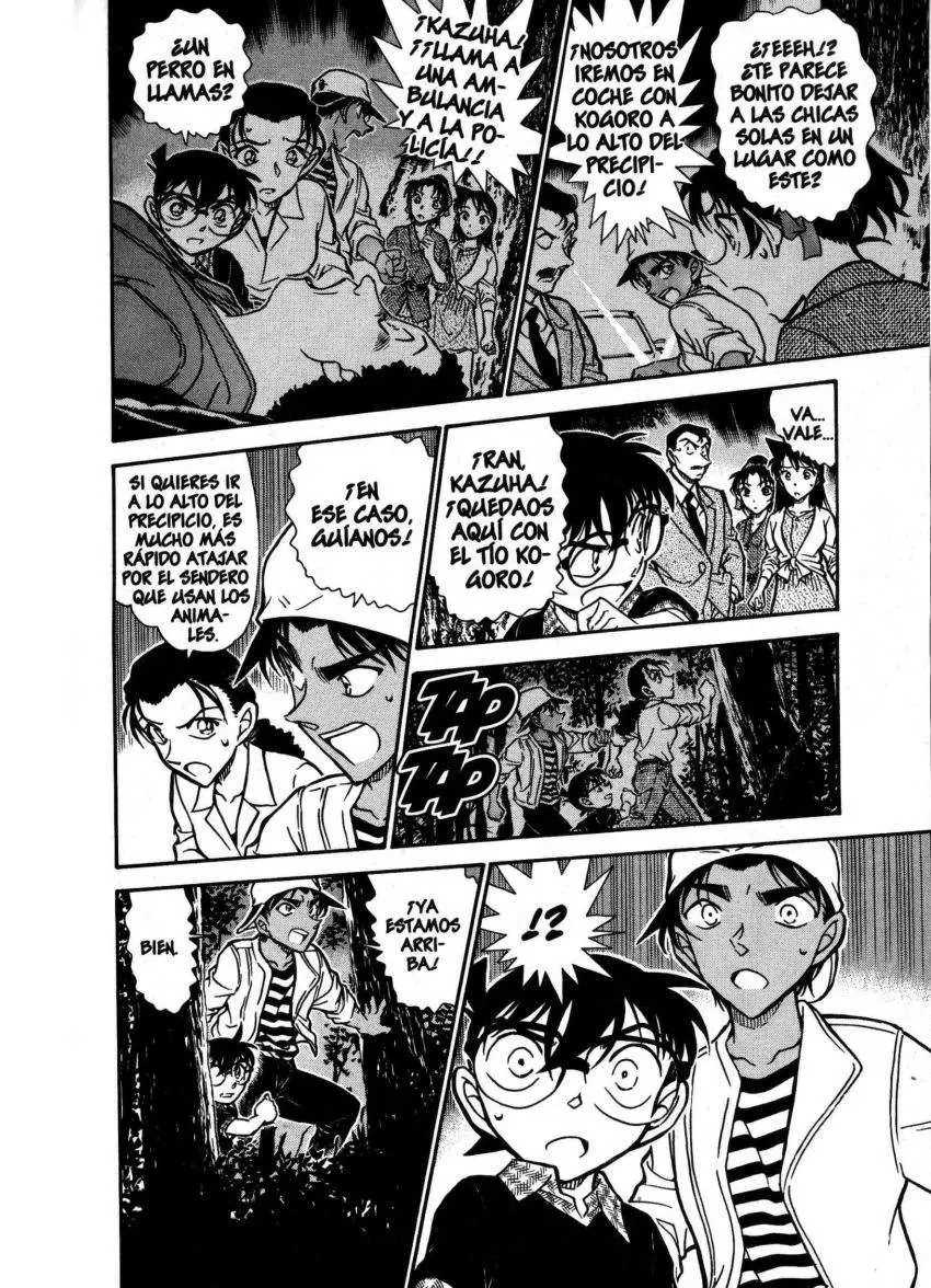 Detective Conan capítulo 736, página 14
