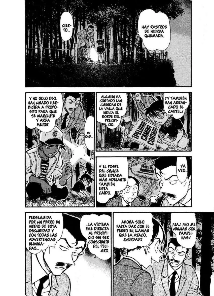 Detective Conan capítulo 738, página 5