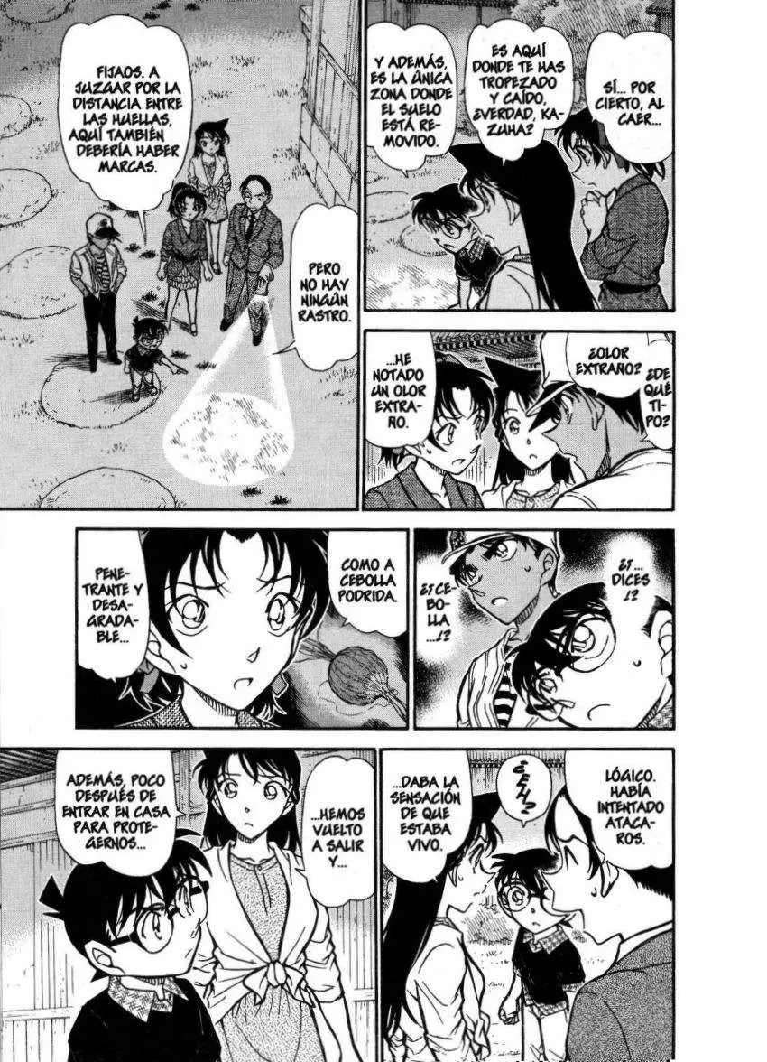 Detective Conan capítulo 738, página 8