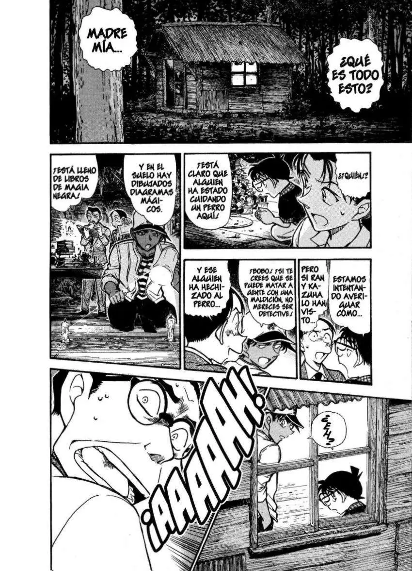 Detective Conan capítulo 738, página 13