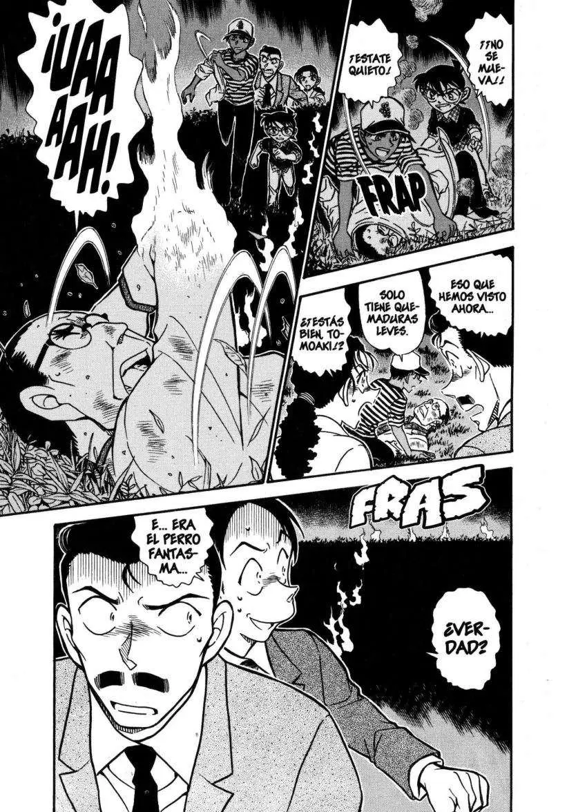 Detective Conan capítulo 738, página 15