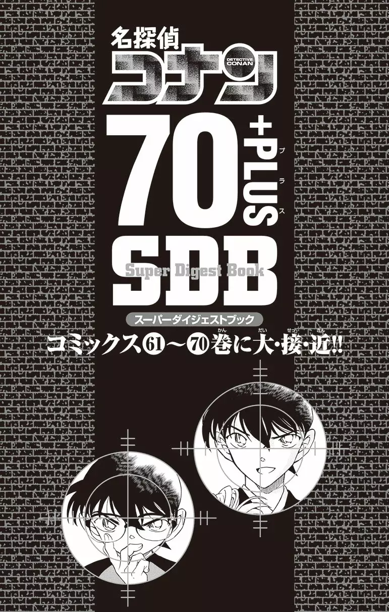 Detective Conan capítulo 740.5, página 2