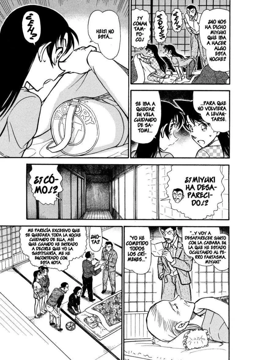 Detective Conan capítulo 740, página 8