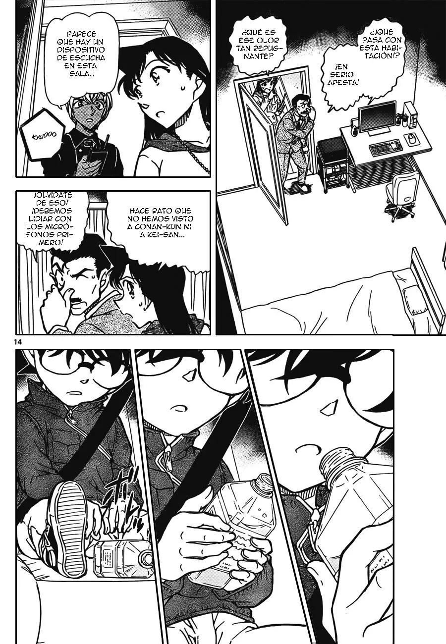 Detective Conan capítulo 797, página 14