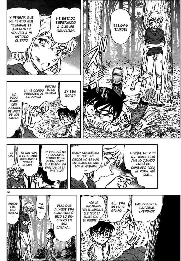 Detective Conan capítulo 817, página 12
