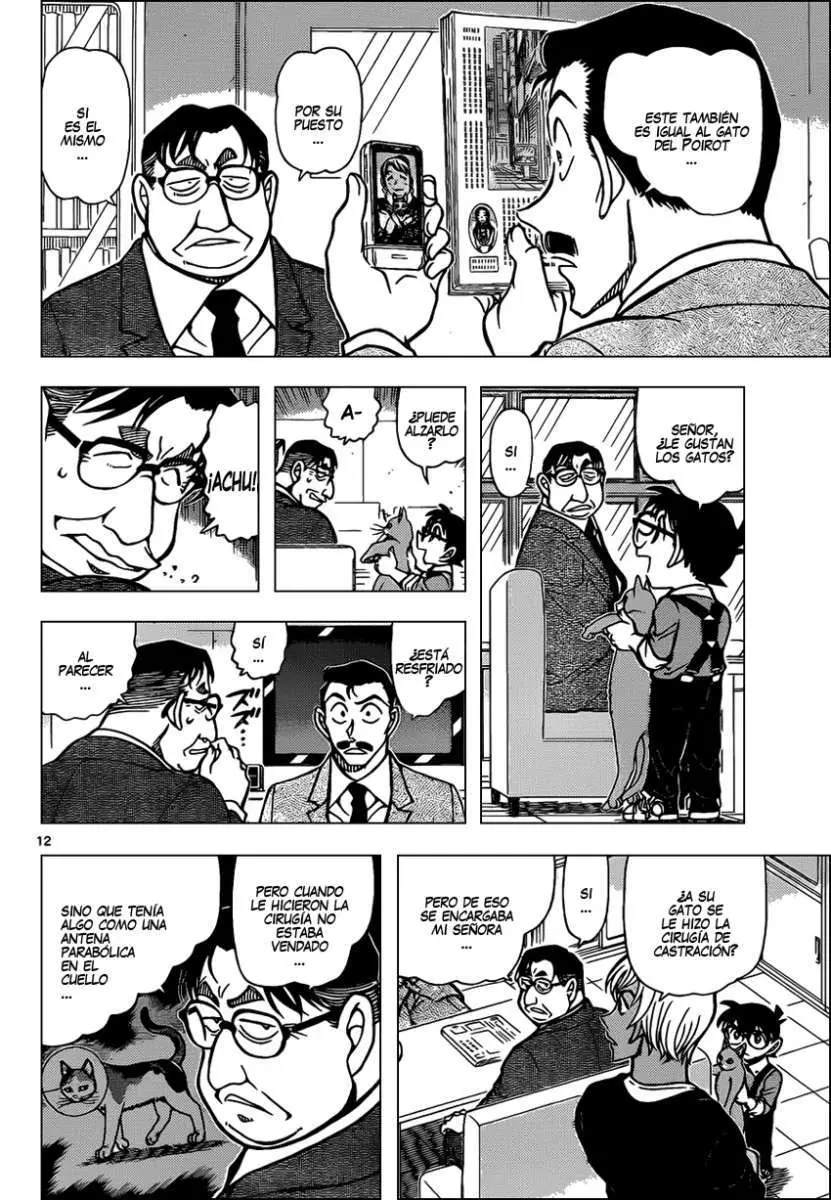 Detective Conan capítulo 865, página 13