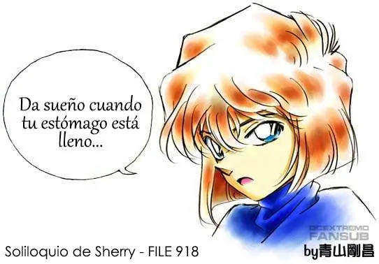 Detective Conan capítulo 918, página 18