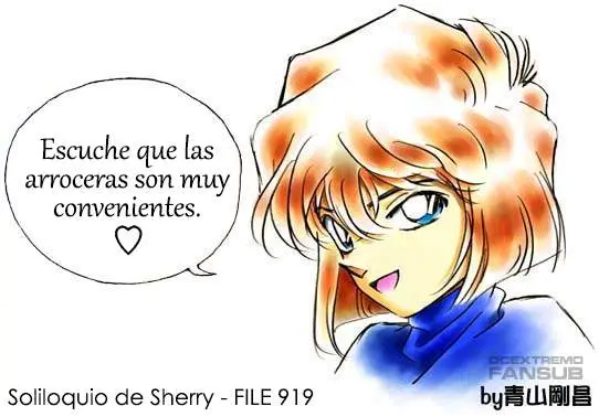 Detective Conan capítulo 919, página 18