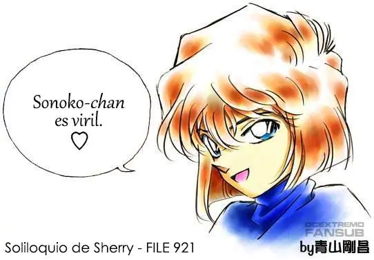 Detective Conan capítulo 921, página 17