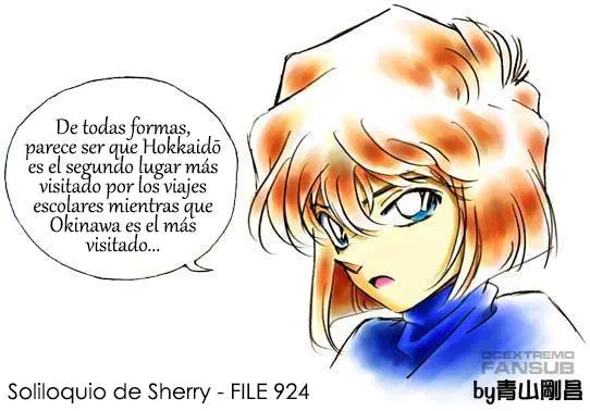 Detective Conan capítulo 924, página 17