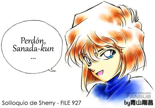 Detective Conan capítulo 927, página 18