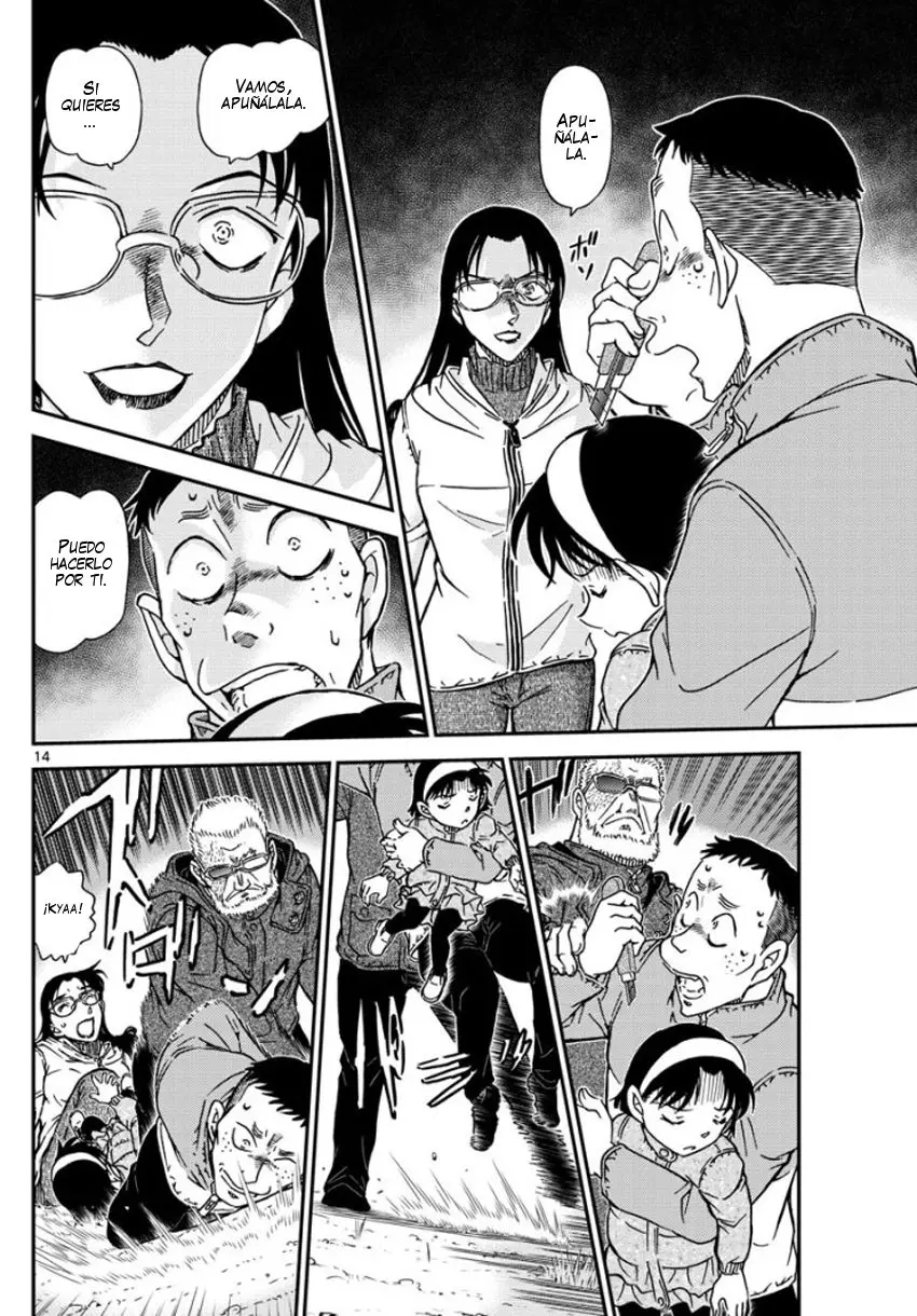 Detective Conan capítulo 989, página 15