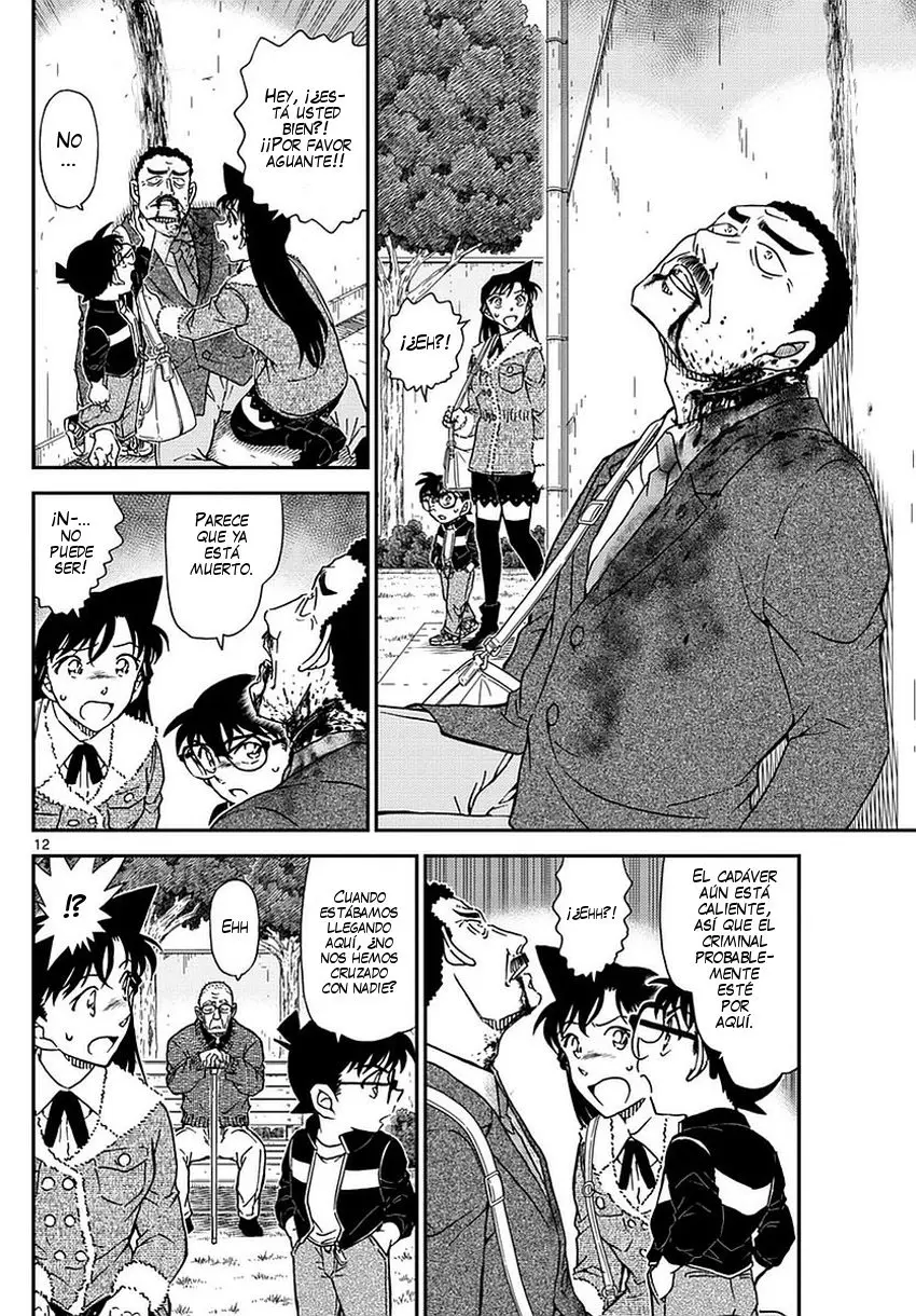 Detective Conan capítulo 990, página 13