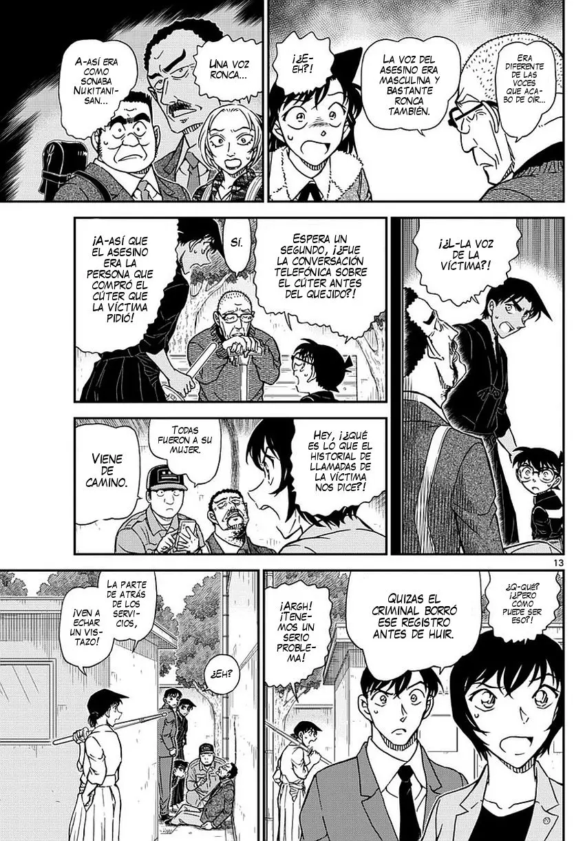 Detective Conan capítulo 991, página 14