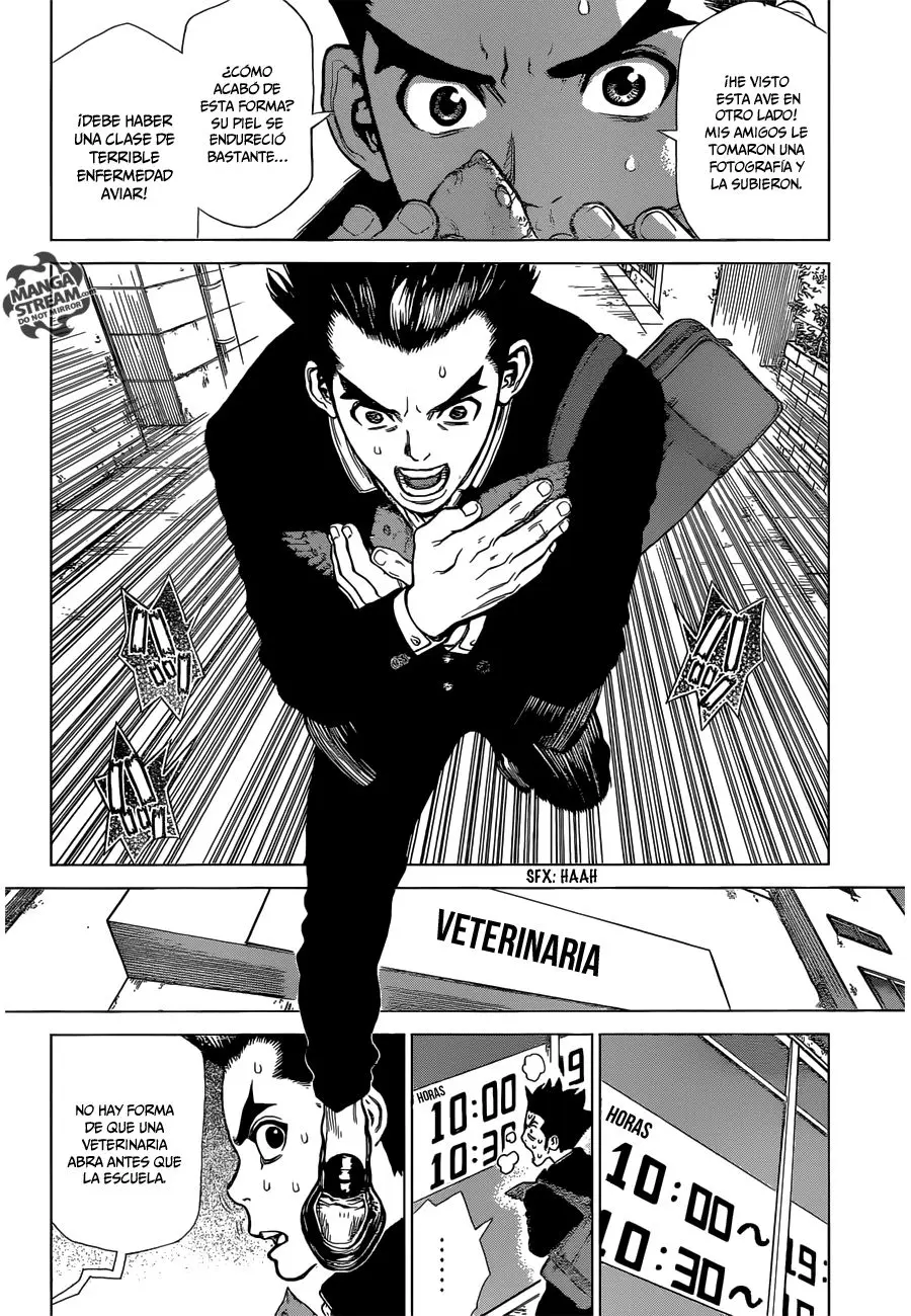 Dr. Stone capítulo 1, página 20