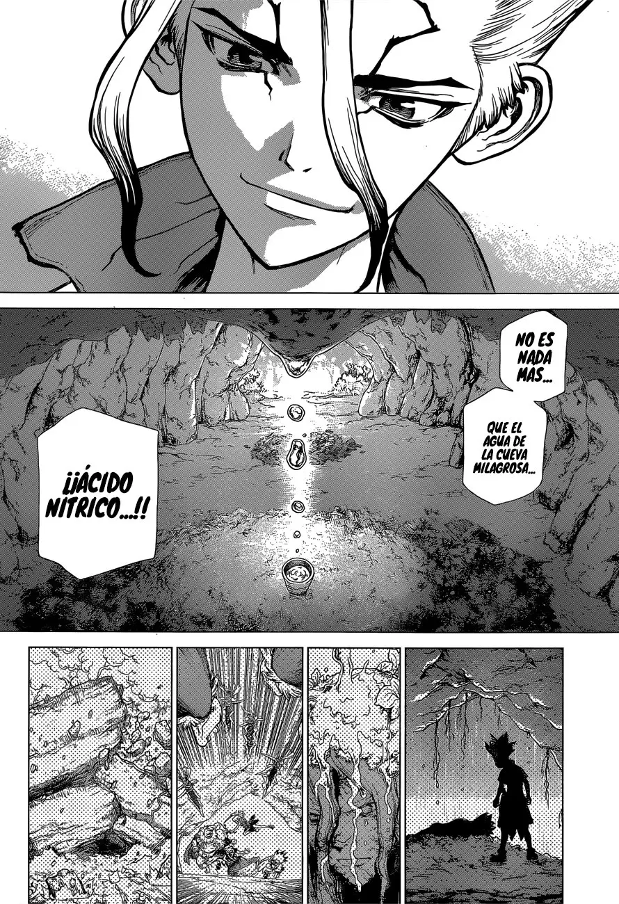 Dr. Stone capítulo 116, página 5