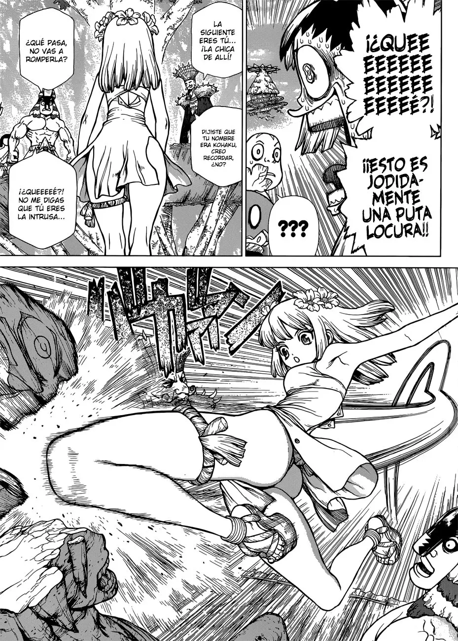 Dr. Stone capítulo 116, página 14