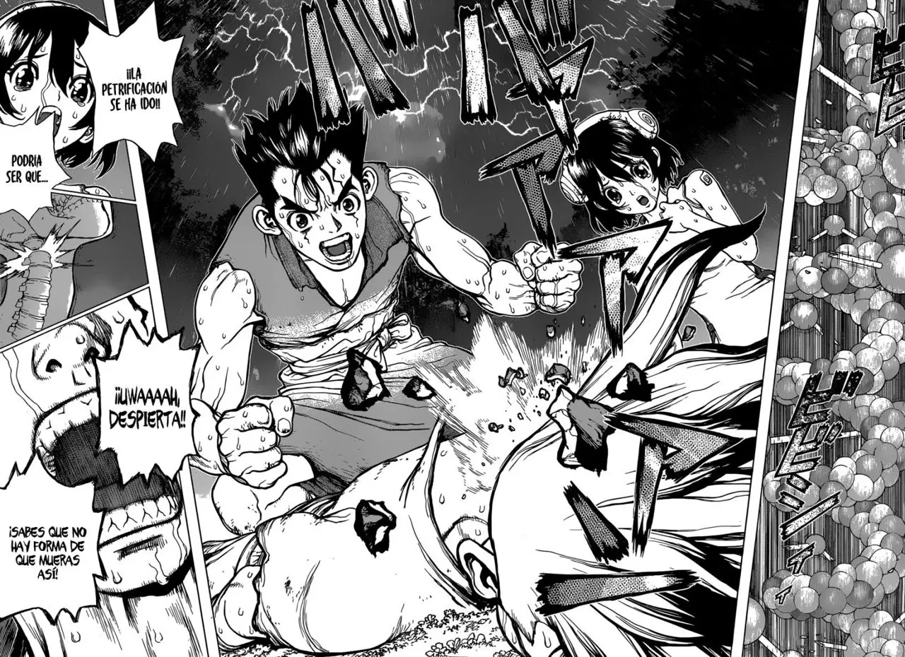 Dr. Stone capítulo 12, página 14