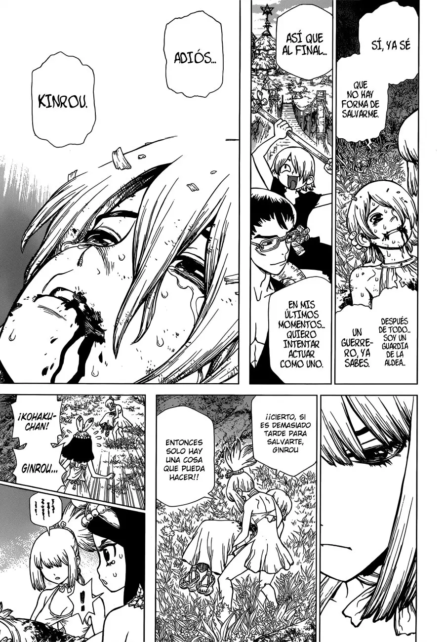 Dr. Stone capítulo 121, página 14