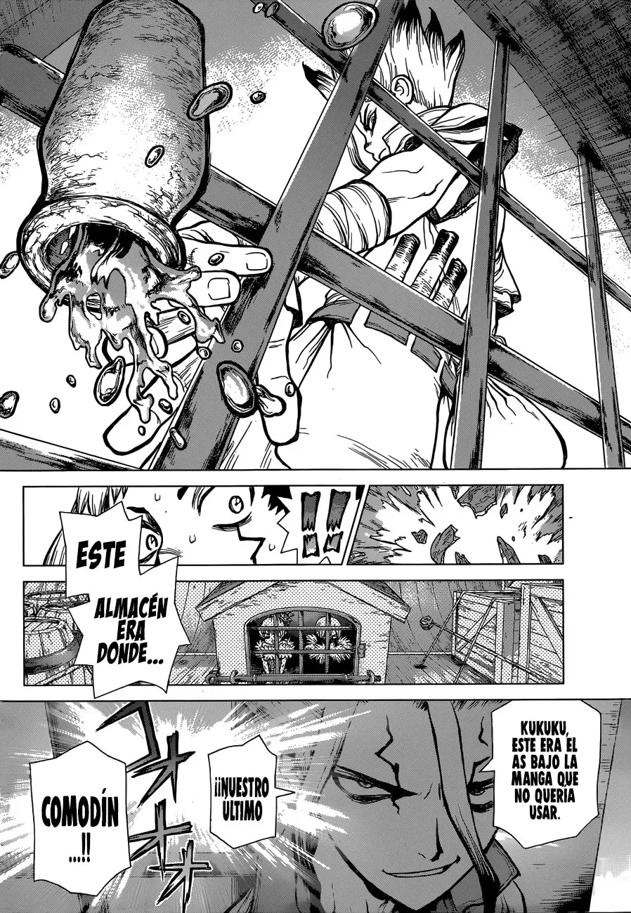 Dr. Stone capítulo 129, página 14