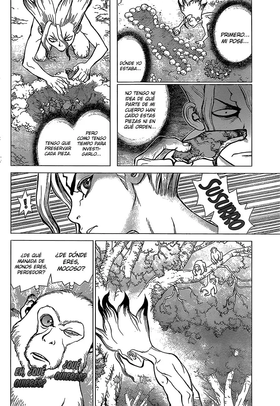 Dr. Stone capítulo 13, página 4