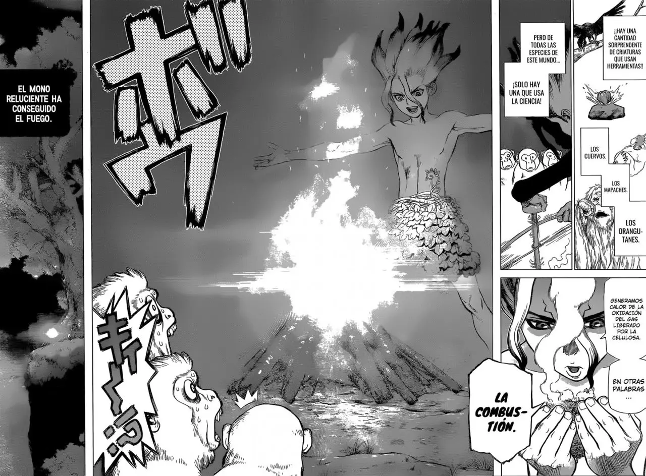 Dr. Stone capítulo 13, página 15