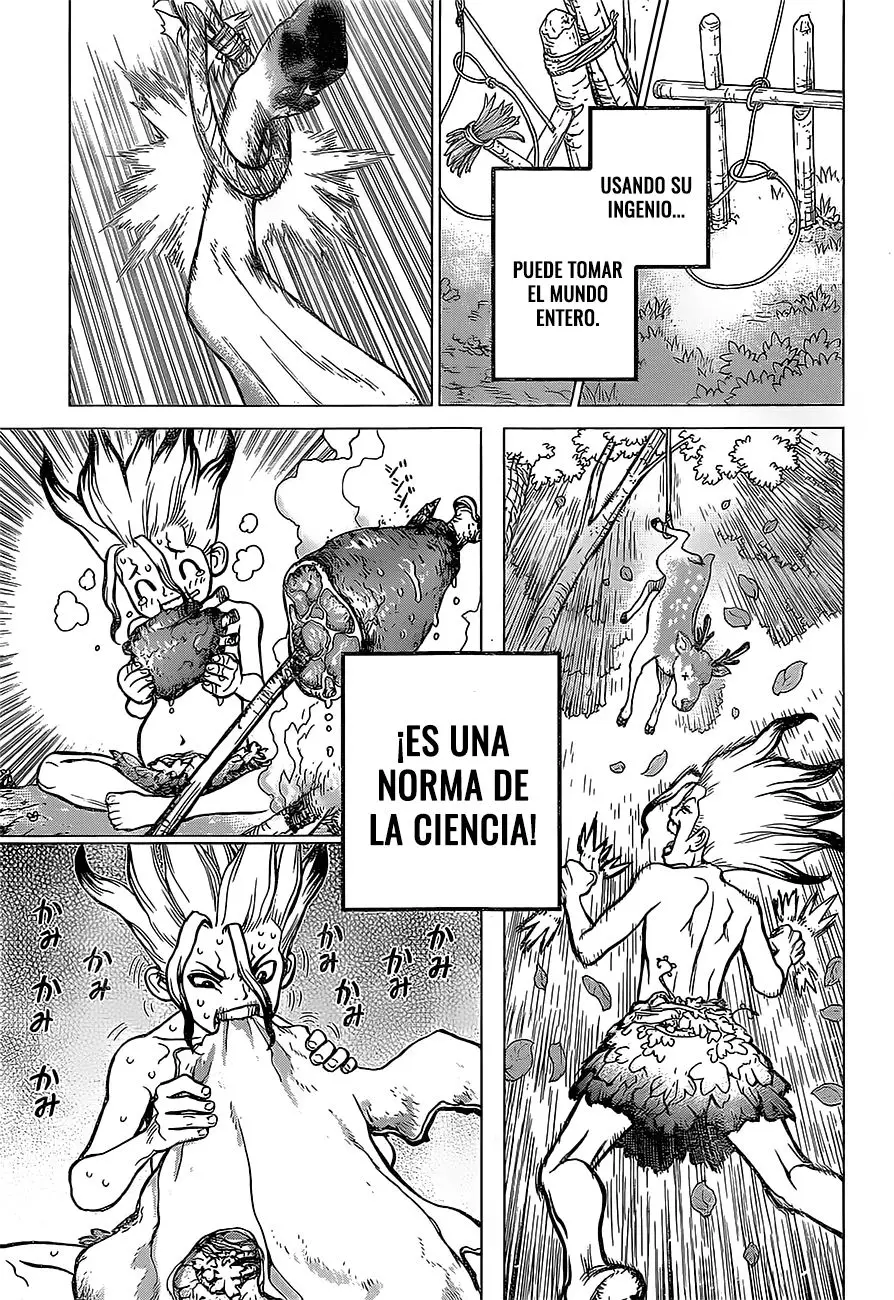 Dr. Stone capítulo 13, página 17