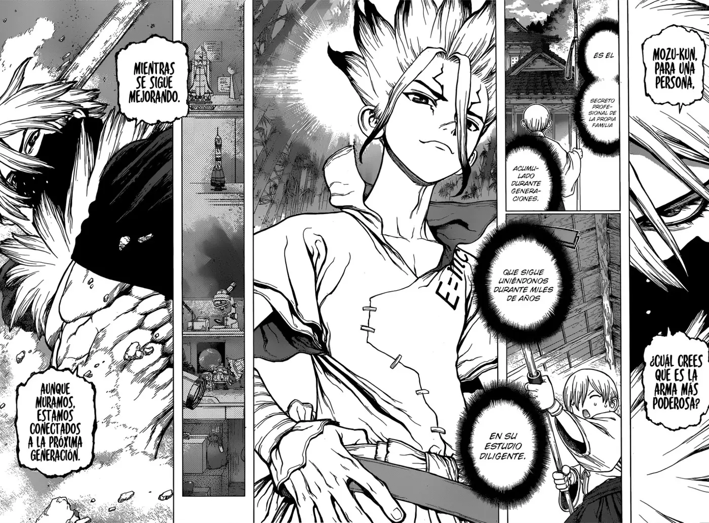 Dr. Stone capítulo 132, página 17