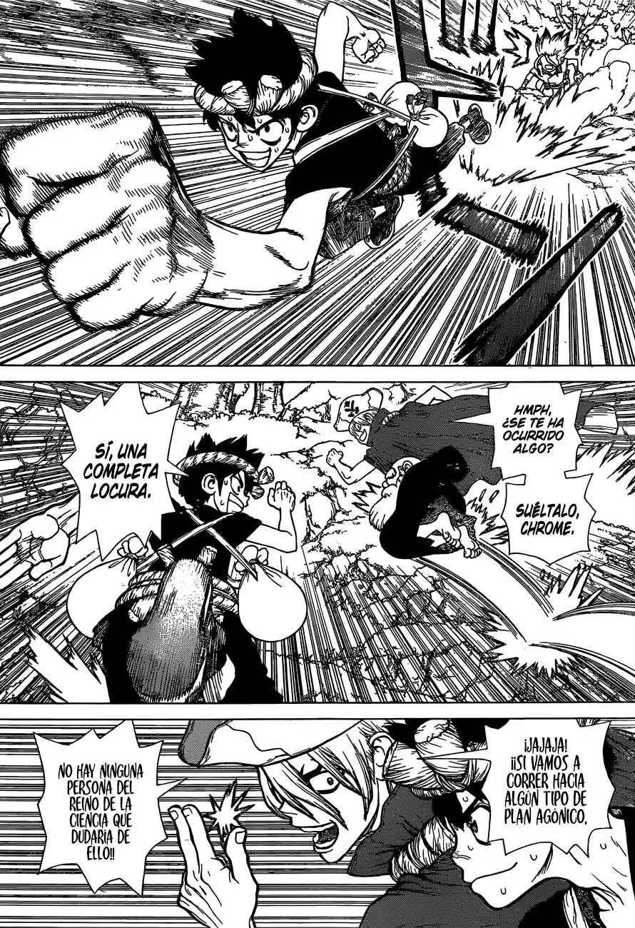 Dr. Stone capítulo 133, página 13
