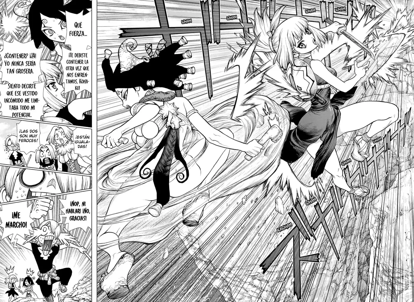 Dr. Stone capítulo 139, página 8