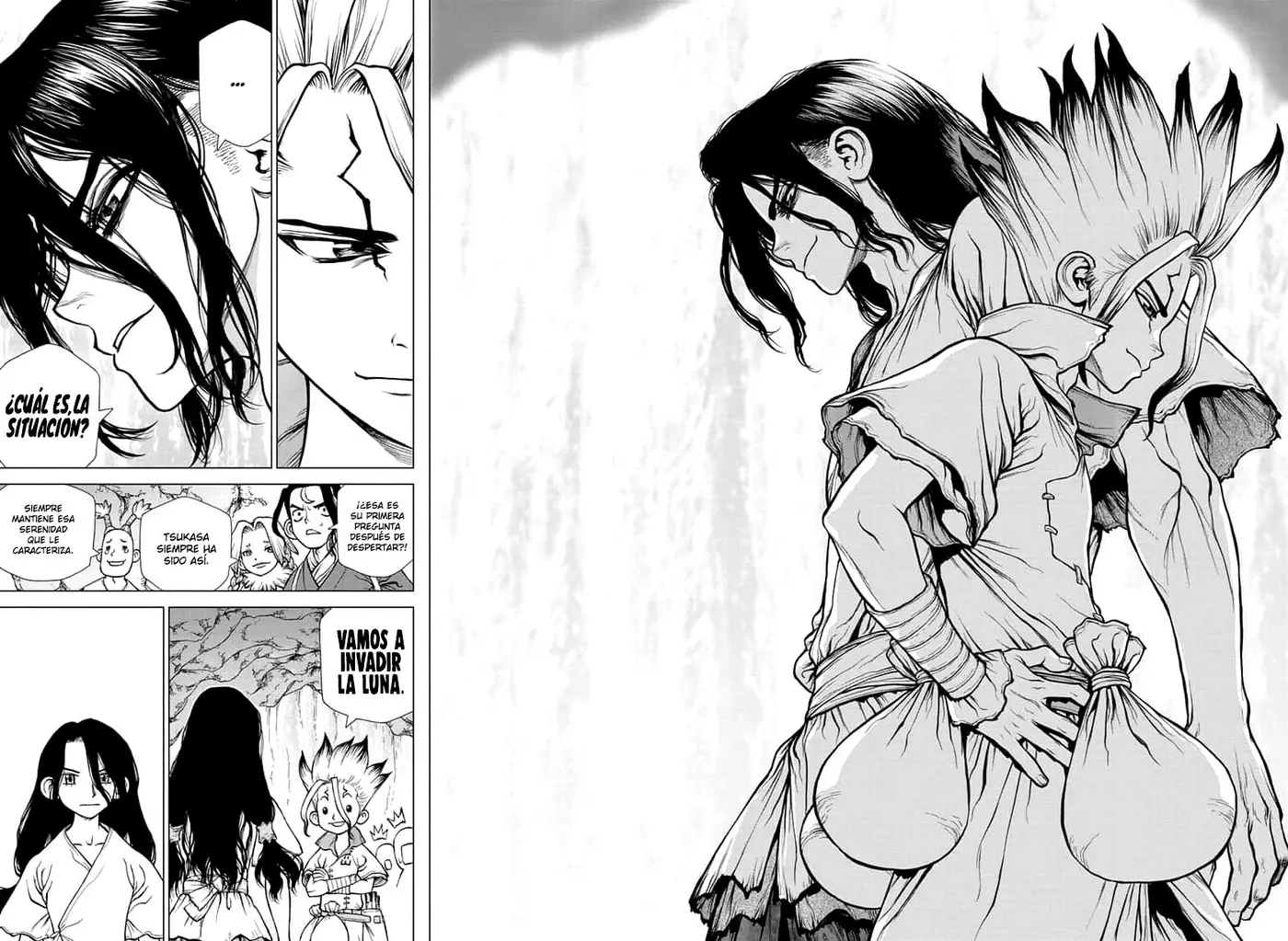 Dr. Stone capítulo 141, página 15