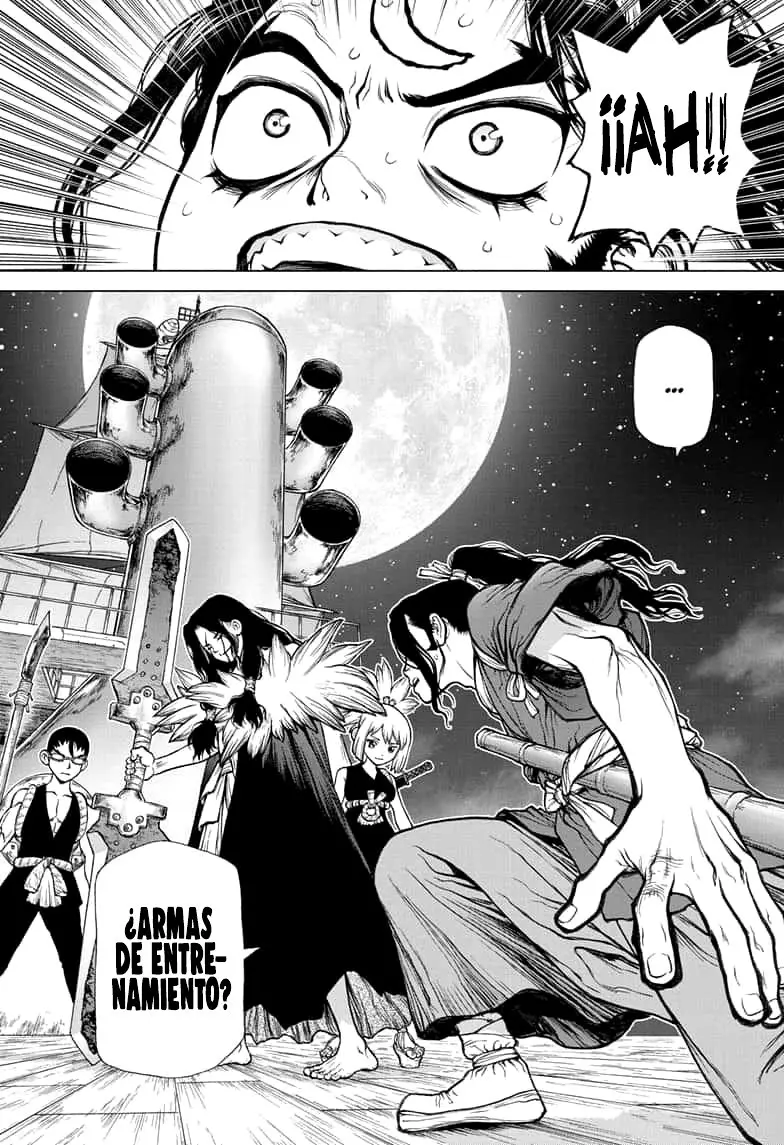 Dr. Stone capítulo 146, página 17