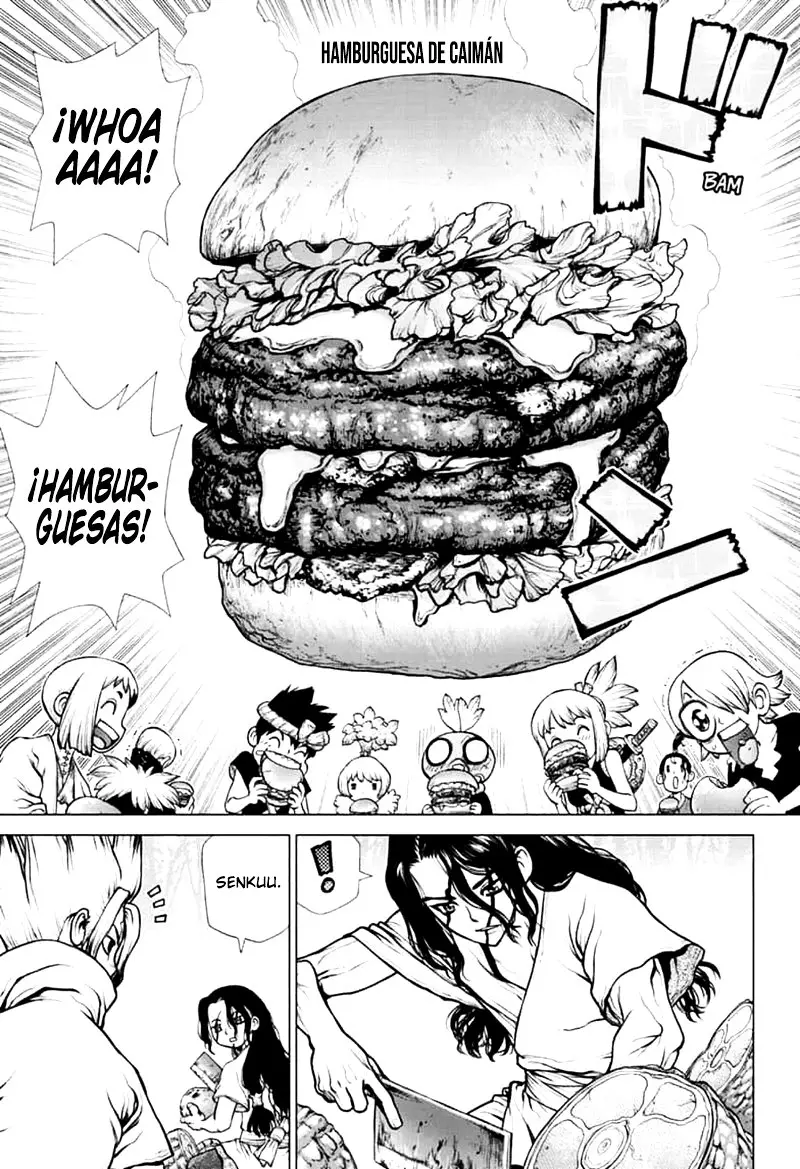 Dr. Stone capítulo 148, página 17