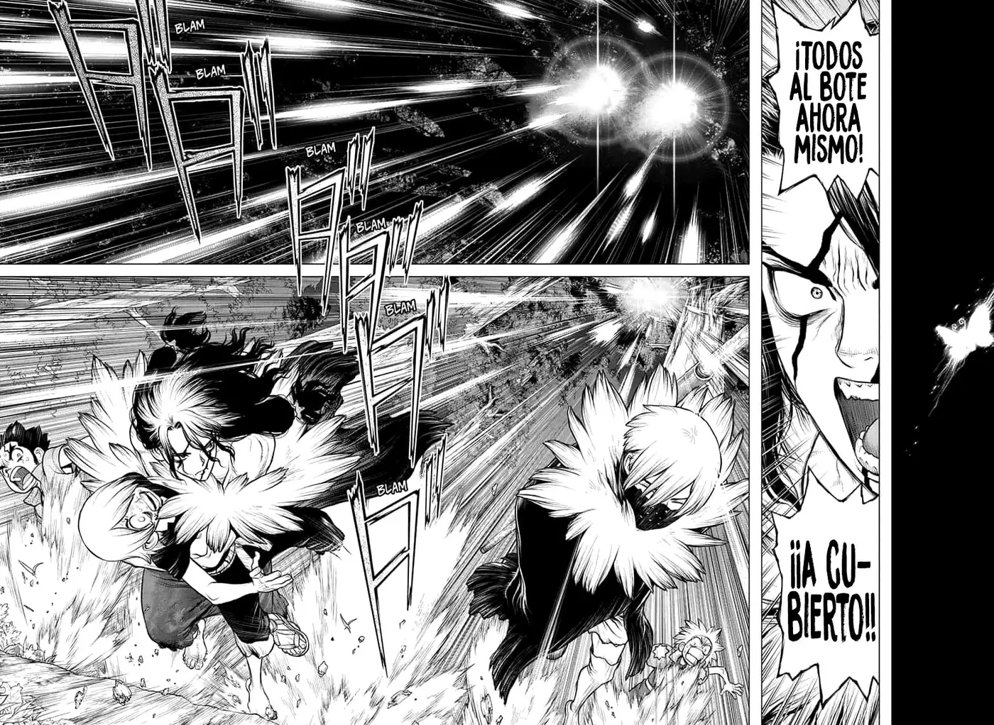 Dr. Stone capítulo 149, página 14