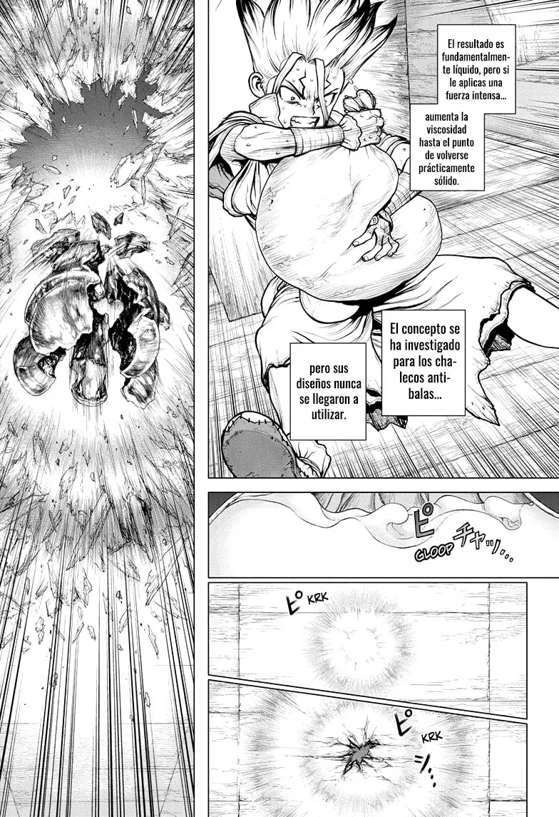 Dr. Stone capítulo 159, página 17