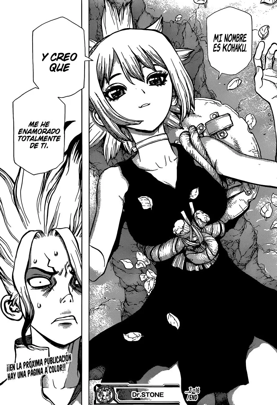 Dr. Stone capítulo 16, página 17